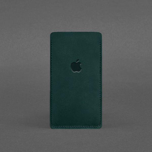 Зеленый кожаный чехол для iPhone 12 BlankNote BN-GC-2-iz фото