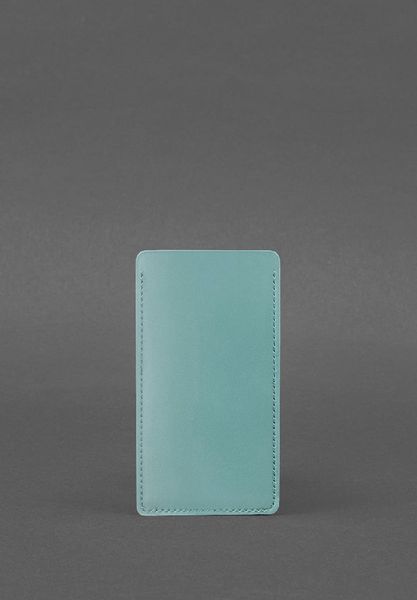 Кожаный чехол для iPhone 12 цвета тиффани BlankNote BN-GC-2-tiffany фото