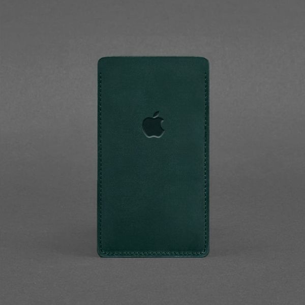 Зеленый кожаный чехол для iPhone 11 BlankNote BN-GC-1-iz фото